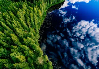 A forest and lake reflecting sky and clouds as shot from above.