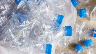 Hand inserting plastic bottle into recyckling box in home with green plants in the background