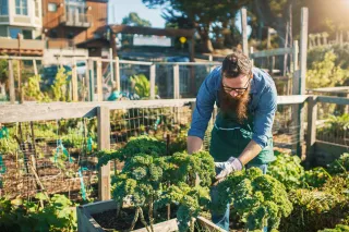 A photo of a person tending to an urban rooftop garden.