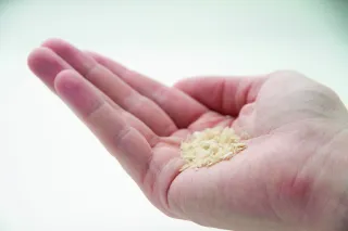 A photo of a hand holding a small amount of a granular prowder.