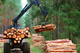 forest work machine piling wood trunks