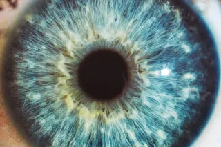 Human eye