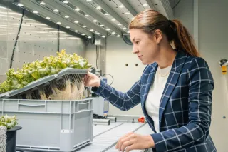 Cultivation unit where cellulosebased growing media are tested in plastic holders. Image credit: Jana Pavlova