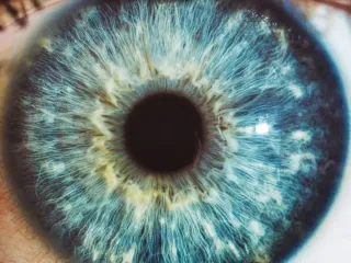 Human eye