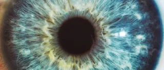 Human eye