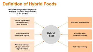 Hybrid Food means combining animal, plant, cellular agriculture and fermentation based ingredients for manufacturing of superior quality food products that meet the prize parity and consumer expectations when comparing to meat and other animal based products.