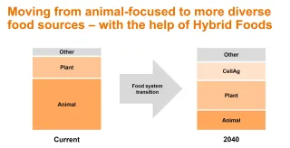 Food system transition with hybrid foods